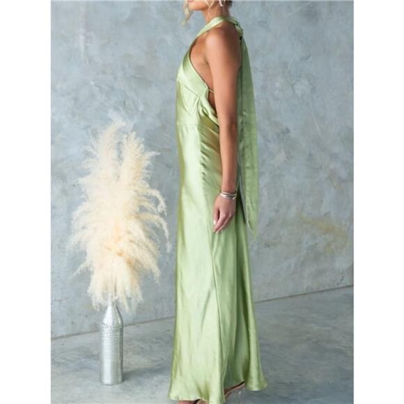 Backless Halter Neck Maxi Dress - Picture 14 of 15